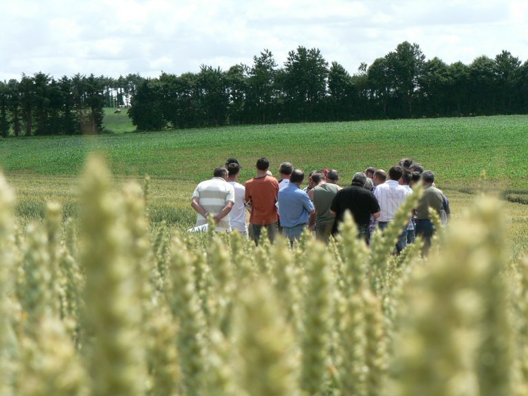 Seedevol - Formations professionnelles agriculture, industrie, bâtiment, tertiaire