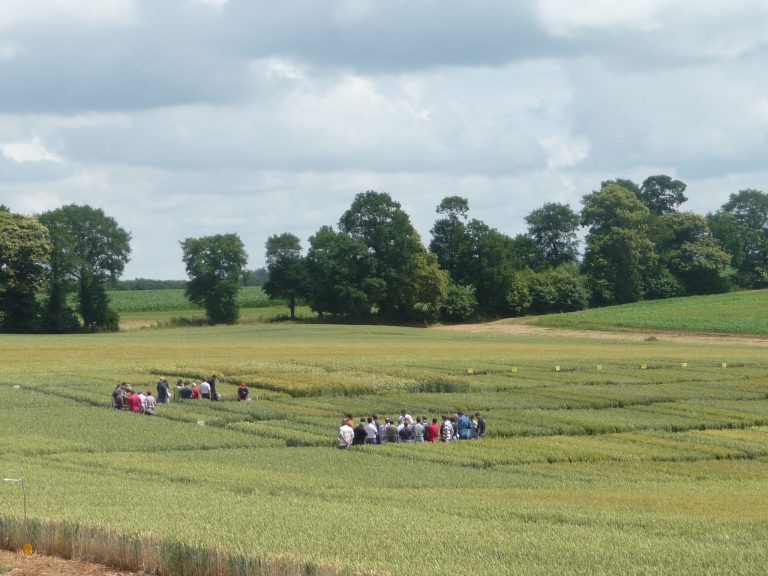 Seedevol - Formations professionnelles agriculture, industrie, bâtiment, tertiaire